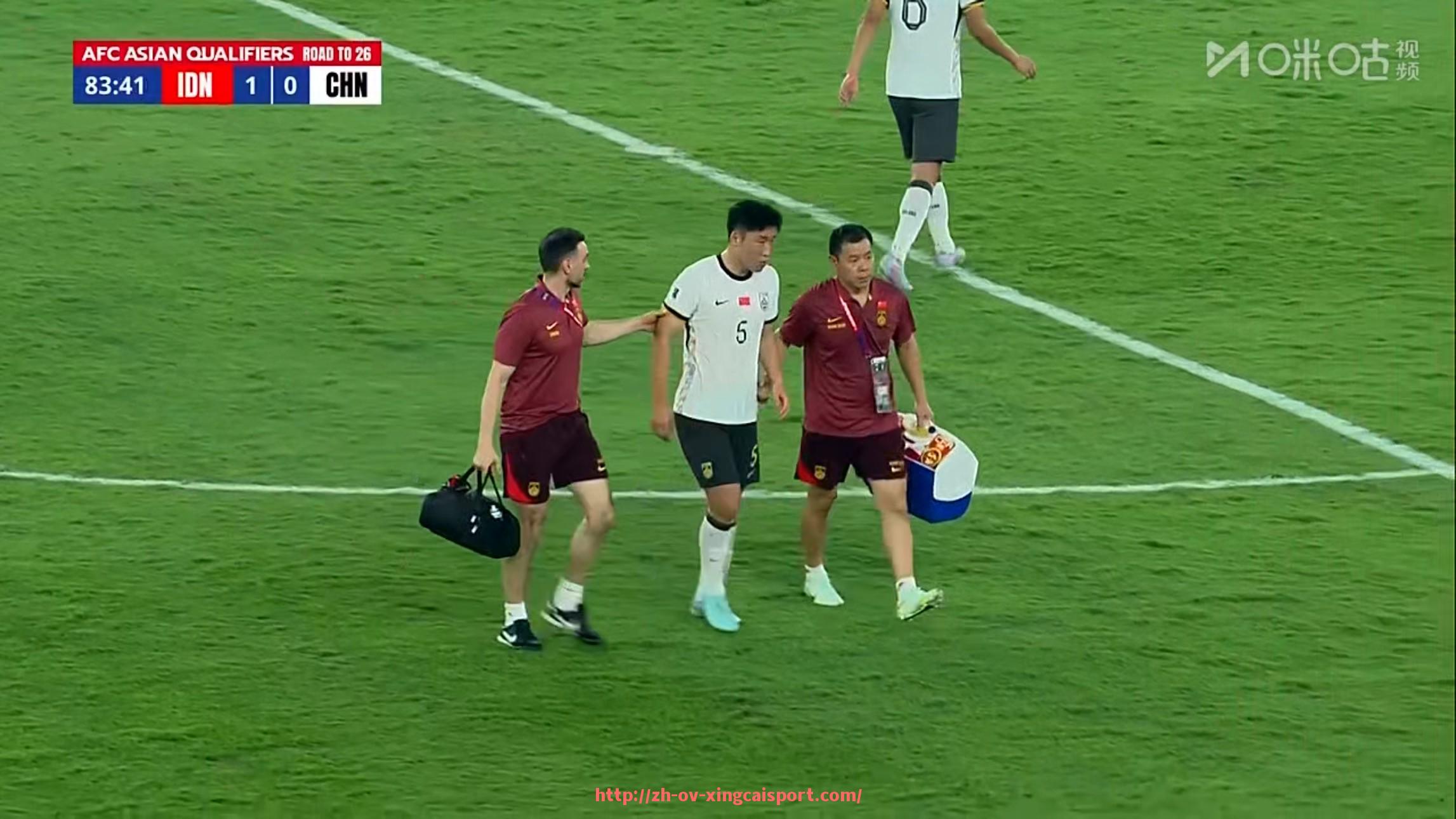 杏彩体育-曼城与德甲球队的比较与对比分析