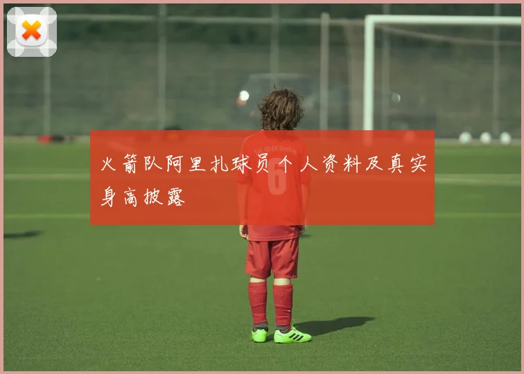 火箭队阿里扎球员个人资料及真实身高披露
