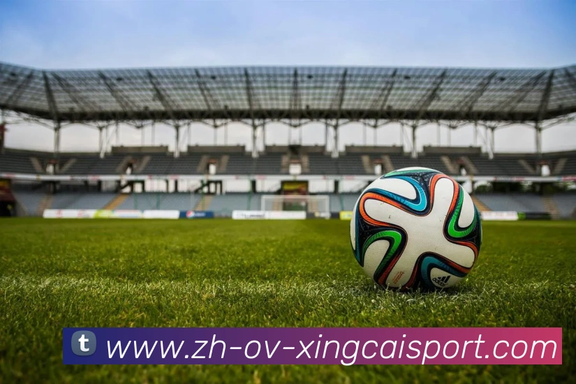 杏彩体育平台生态图