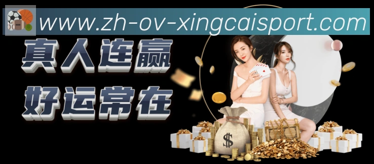 未来规划