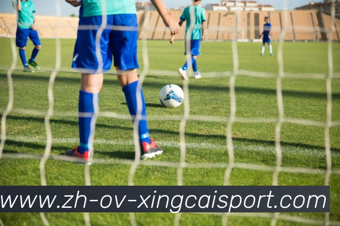 杏彩体育全站App