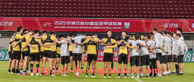 杏彩体育-法甲球队与意甲球队：法甲与意甲球队的竞技水平对比