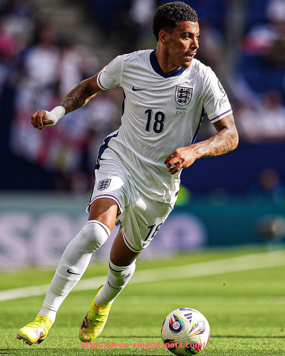 杏彩体育-如何选择一支适合支持的德甲足球队？入坑指南与参考建议